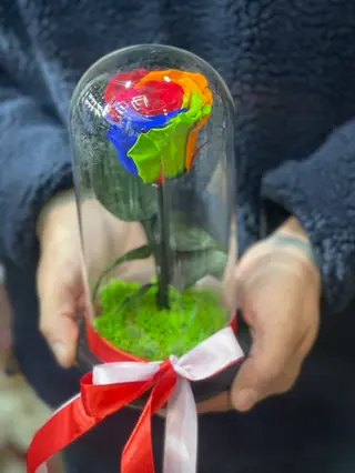 Crio Rainbow Rose 3