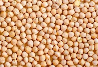 Garbanzo Pedrosillano (Peso Aprox 500 Grs)