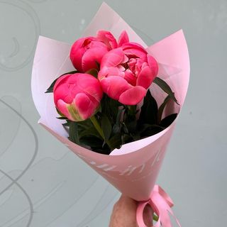 BUCHET CU 3 BUJORI CORAI 