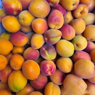 Albicocche 500 gr 