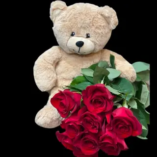 Teddy Love 5