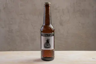 Brutus the Beer