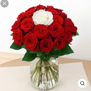 15 rose rouge. 040
