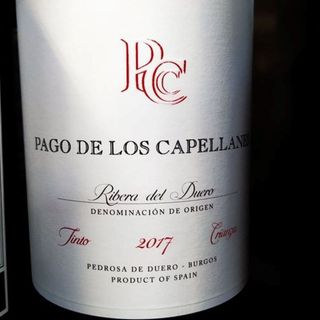 PAGO DE LOS CAPELLANES CRIANZA