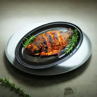 Fish
