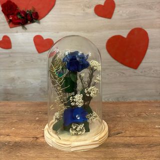 CUPULA ROSA ETERNA AZUL