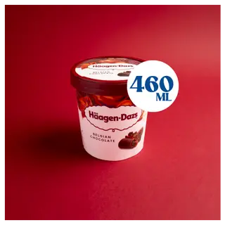 Haagen-Dazs Chocolate 460ml