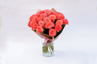 Koralowe lub różowe róże z opakowamiem 25 szt ( średniej wysokości)