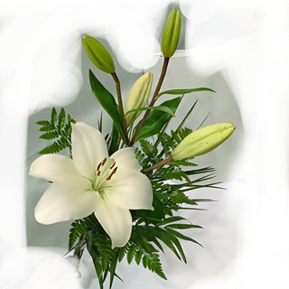 Ramo de Lilium blanco