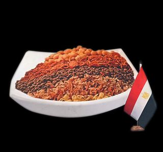 Koshari piatto egiziano vegetariano