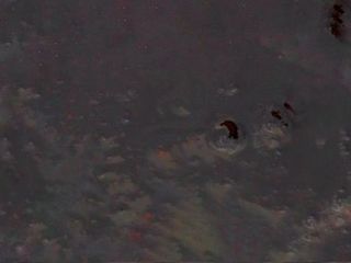 Пюре чорниці (30g)