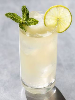 Mojito Standard