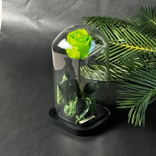 Cloche Éternelle – Rose vert limme 20cm*10cm