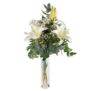 DOS VARAS DE LILIUM