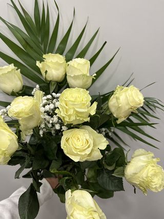 Docena Rosas Blancas Y Verde 