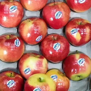 Manzana Kanzi Dos Unidades