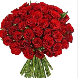 Mazzo di 20 rose 40 cm 