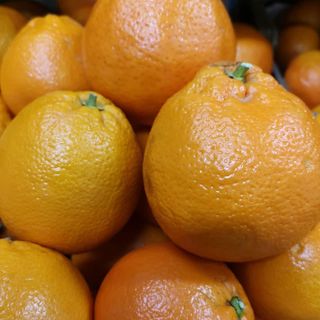 Arance tarocco