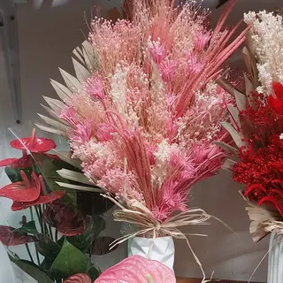 Fiori secchi colorato delle  bellissima
