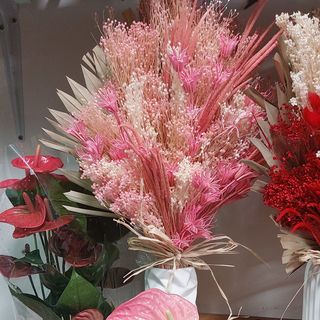 Fiori secchi colorato delle  bellissima