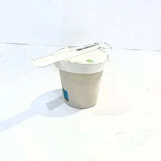 Orzo