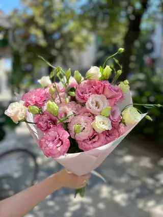 ვარდისფერი ეუსტომები