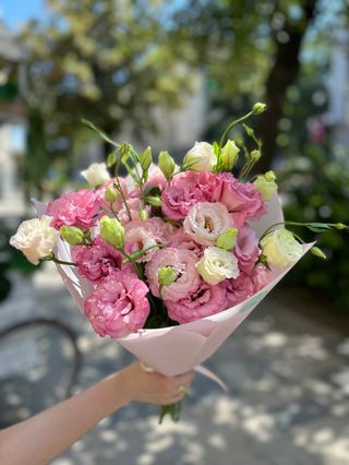 ვარდისფერი ეუსტომები