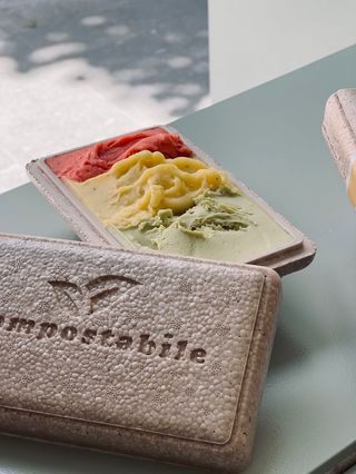 Caixa Isotérmica Biodegradável