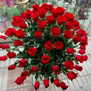 Centro 100 Rosas