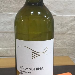 Flangina bianco