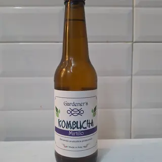Kombucha 33cl 