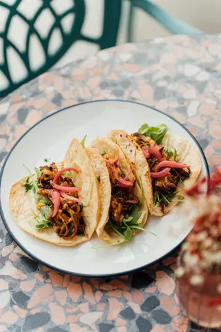 Tacos sa trganom govedinom