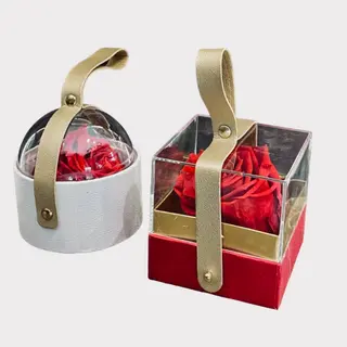 Red eternel (circulaire) 