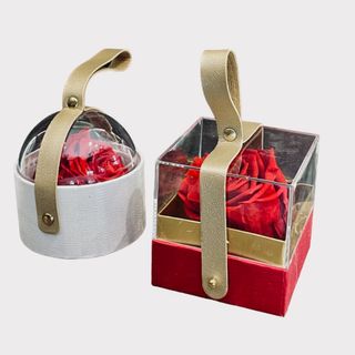 Red eternel (circulaire) 