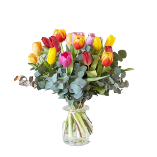 Tulipani multicolore