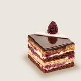 ანიუტა ჟოლოთი