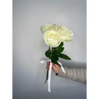Biała Róża 60 cm, 3 szt
