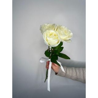 Biała Róża 60 cm, 3 szt