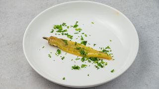 Belolučena ljuta paprika