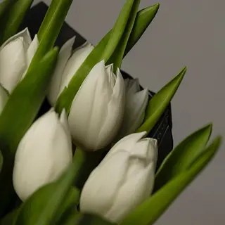Ramo de 10 tulipanes blancos