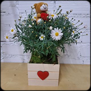 me quiere, no me quiere...