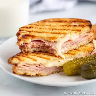 Sándwich Mixto