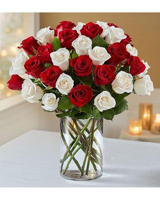 Red And White Roses Arranged [ 36 ]