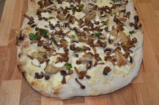Funghi bianca