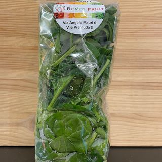 Spinacino 100gr circa