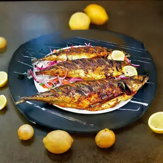 Titus Fish
