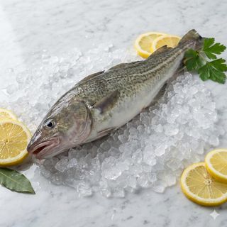 Merluzzo fresco 1 kg 