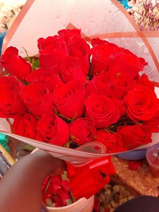 25 Plain Red Roses