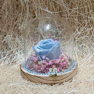 Cúpula com rosa preservada azul claro