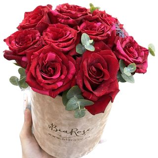 Cutie catifea 9 trandafiri